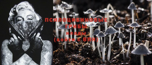 крисы Покров