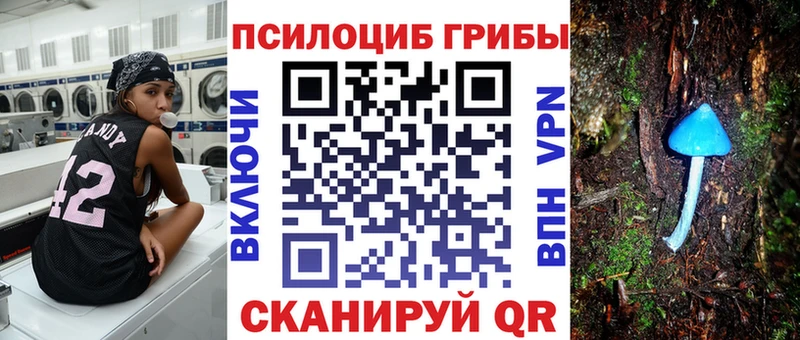 Купить закладки  Карпинск  Галлюциногенные грибы Magic Shrooms 